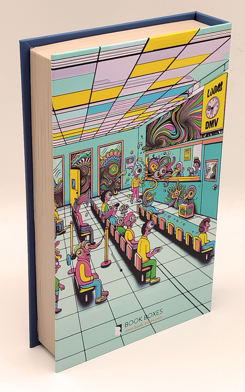 Visiting Your Local DMV while on LSD | Money Safe Box